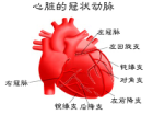 如何保护我们的心脏？