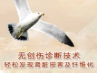 无创伤诊断技术发现肾脏疾病
